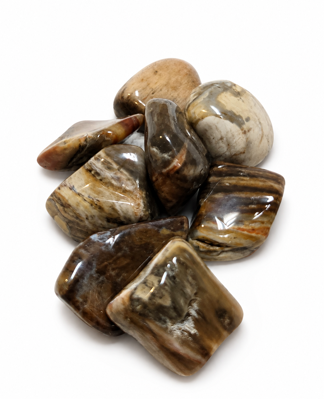 Petrified Wood Stone