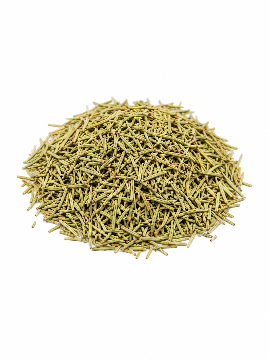 Rosemary Herb