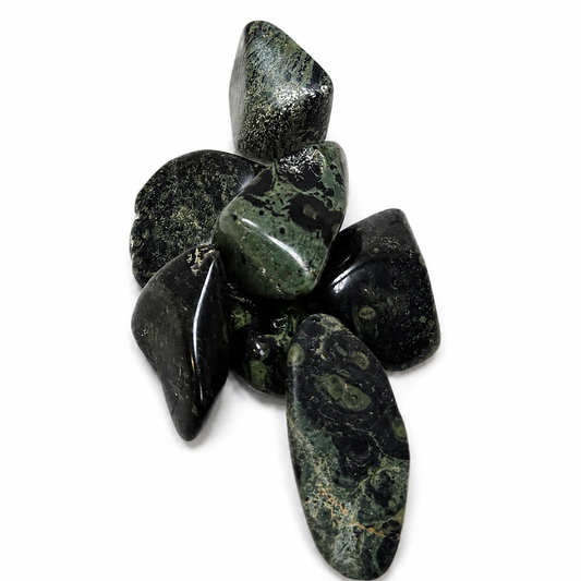 Crocodile Jasper Stone