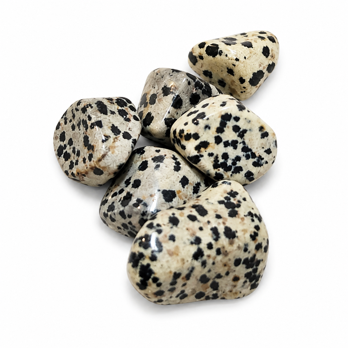 Dalmatian Jasper Tumbled Stone