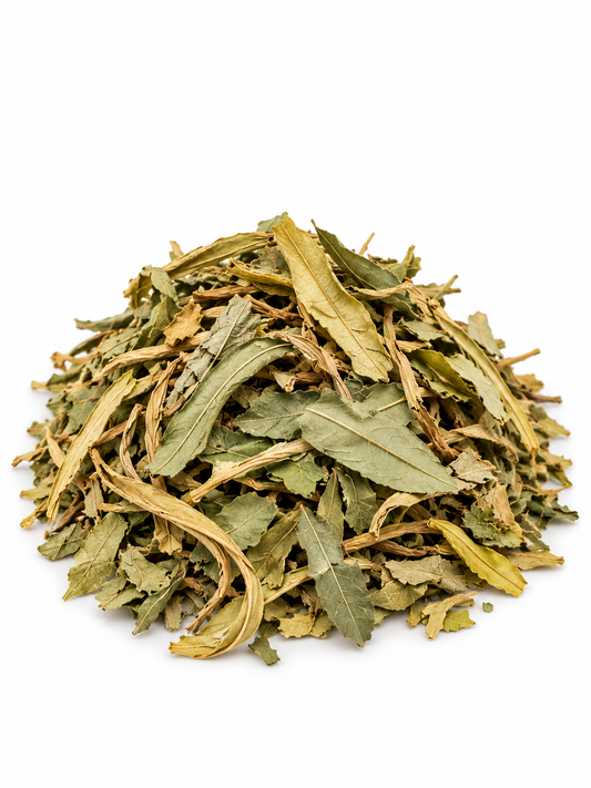 Deer's Tongue Leaf Herb