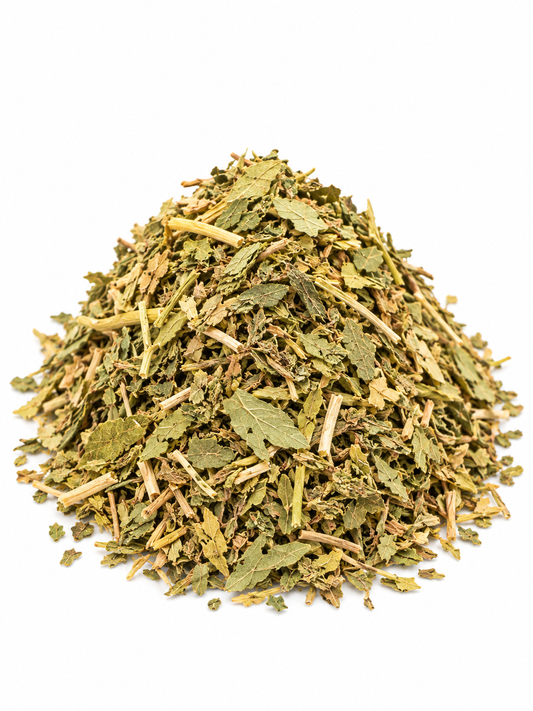 Epazote Leaves Herb