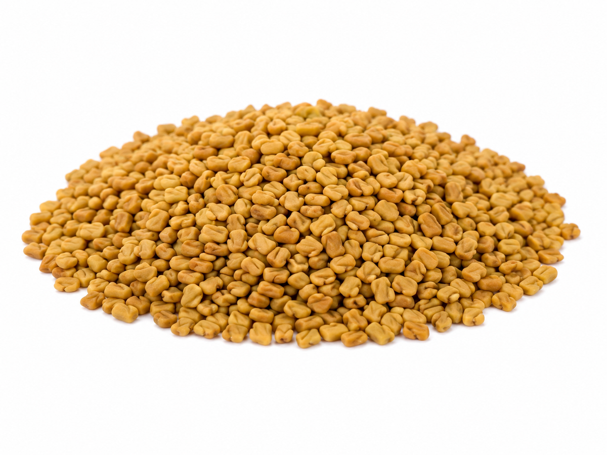 Fenugreek Seed Herb