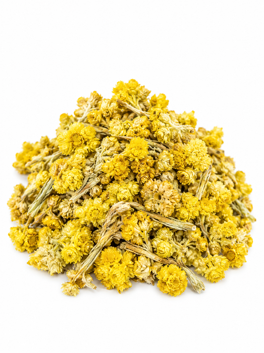 Life Everlasting Flower Herb