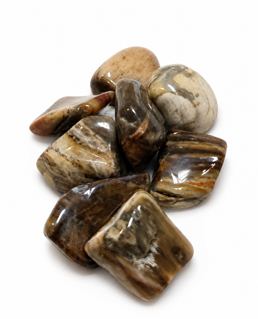Petrified Wood Stone