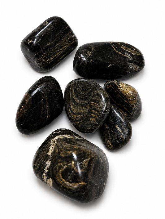Stromatolite Stone