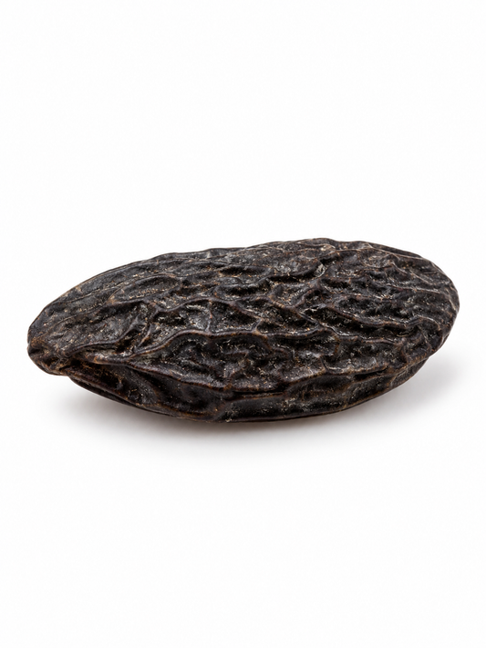 Tonka Bean Herb