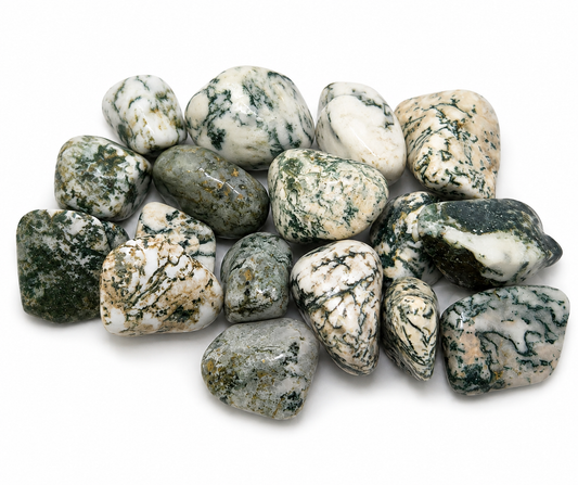 Tree Agate Stone