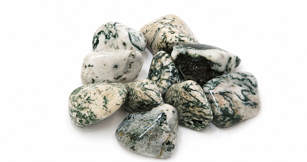 Tree Agate Stone