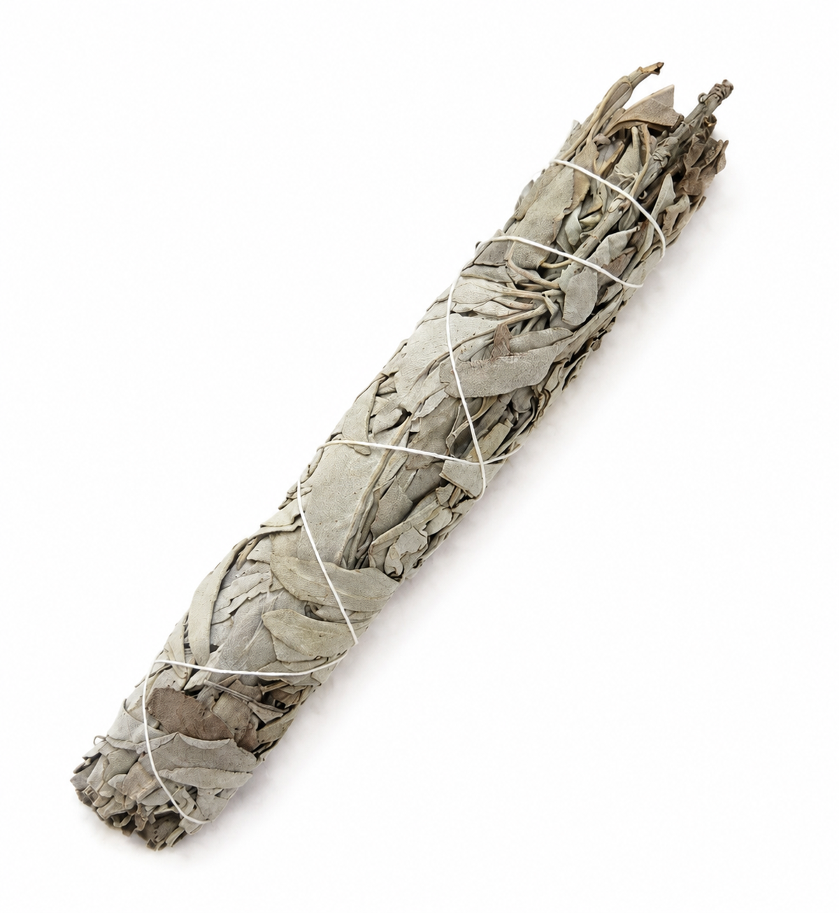 White Sage