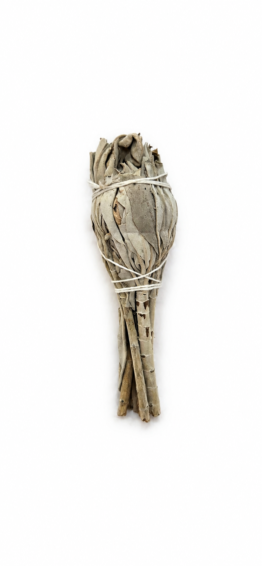 White Sage