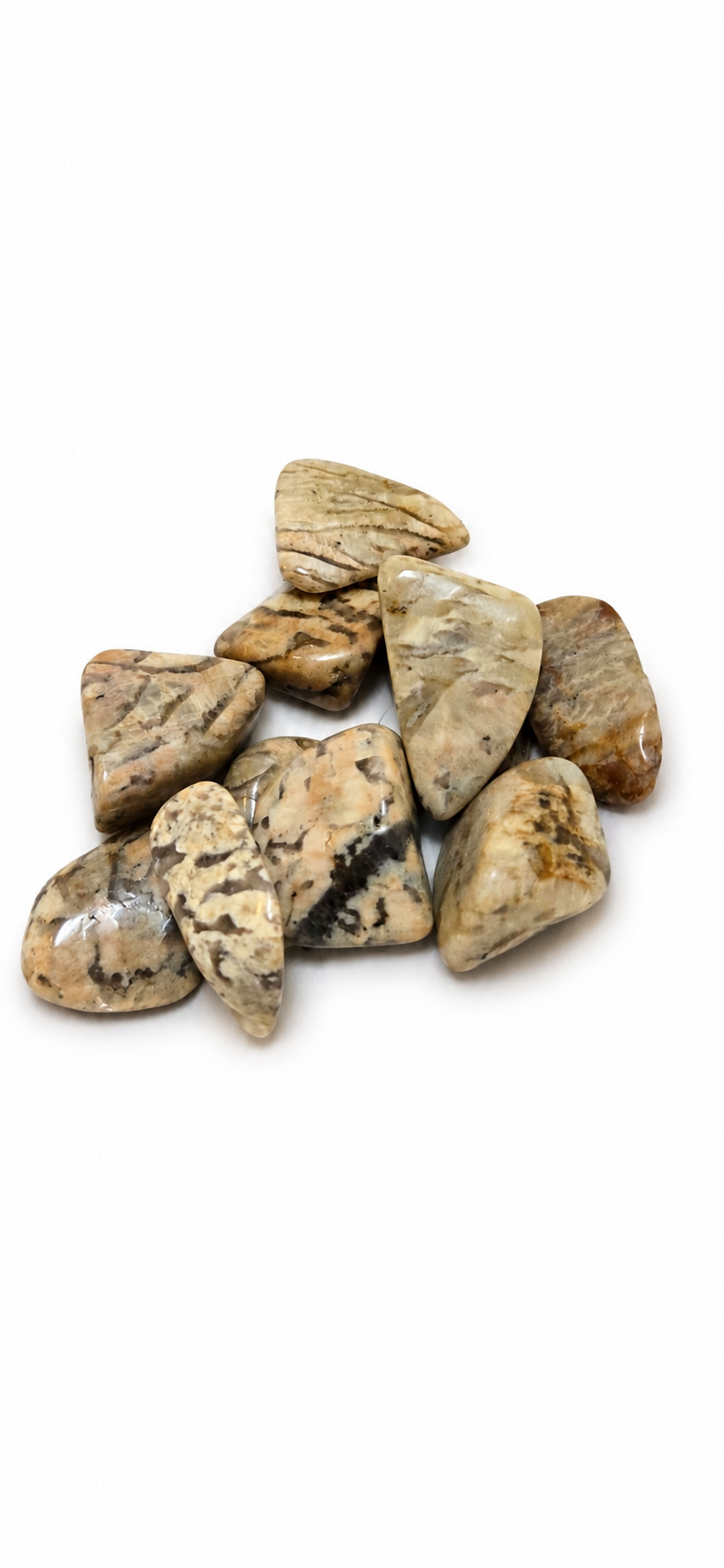 Zebradorite Stone